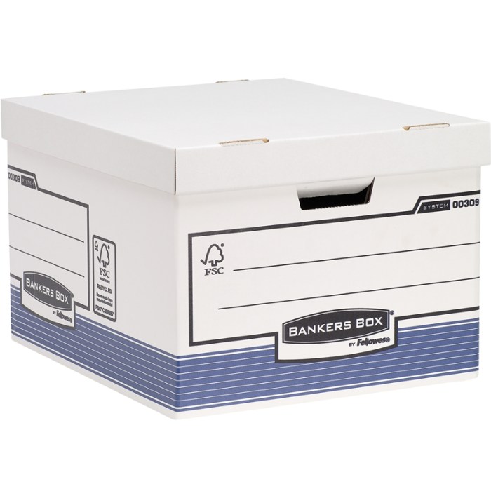 00309-bb-systbluelrgstorageboxclosed-rf-3625818062